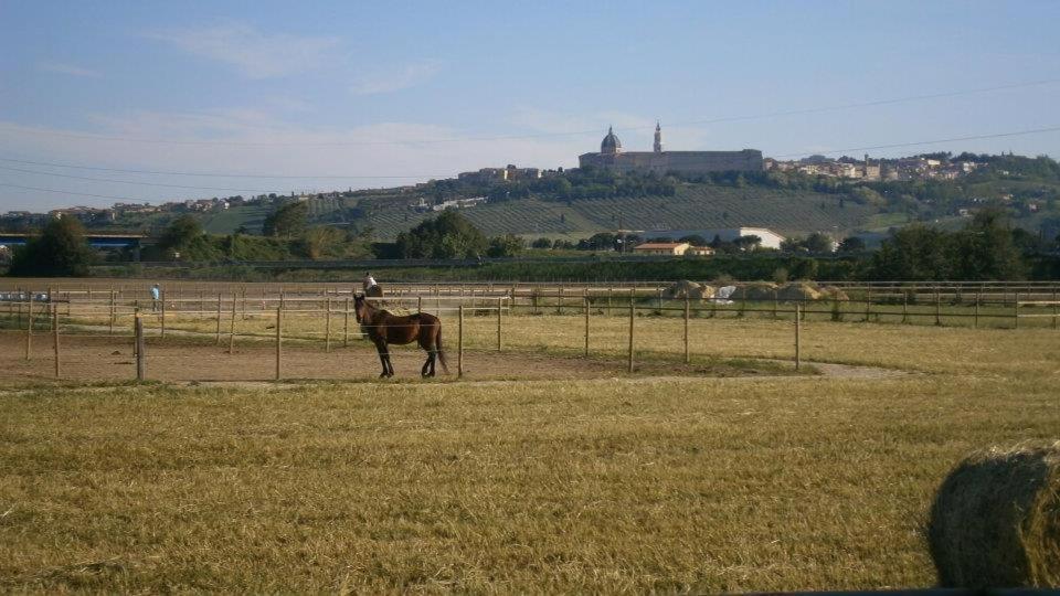 Conero Ranch Guest House Porto Recanati Exterior photo