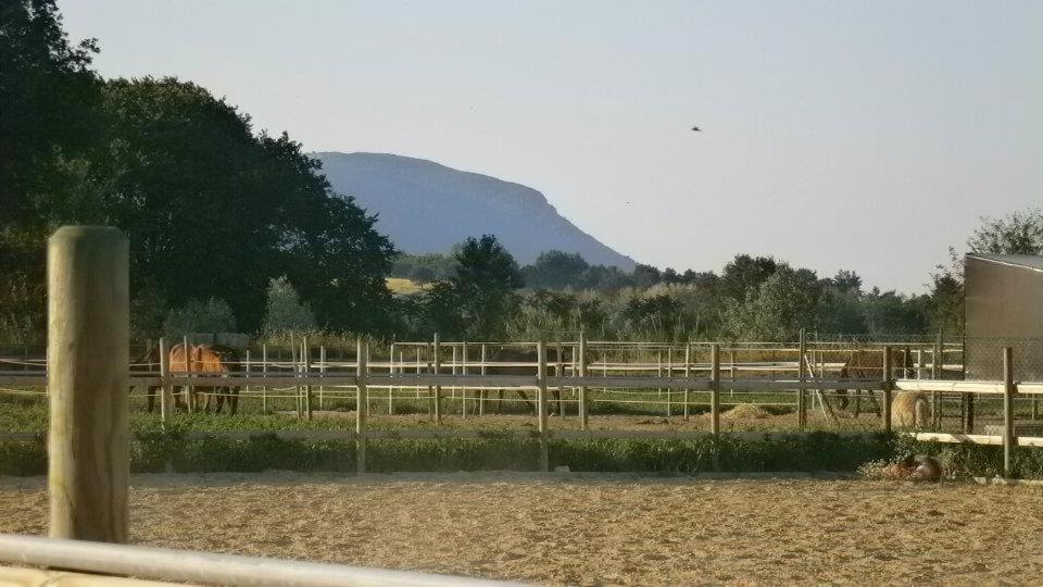 Conero Ranch Guest House Porto Recanati Exterior photo