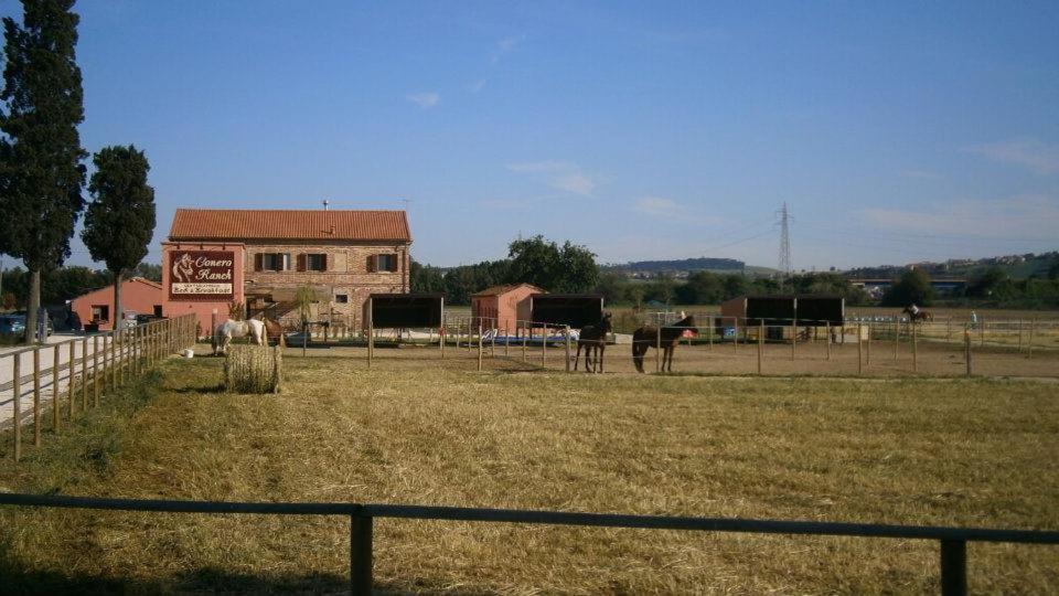 Conero Ranch Guest House Porto Recanati Exterior photo