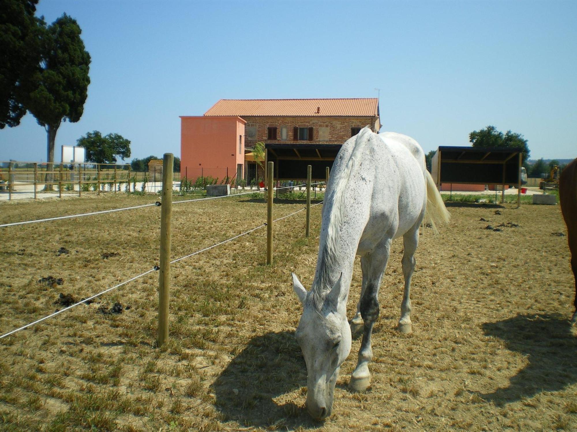 Conero Ranch Guest House Porto Recanati Exterior photo