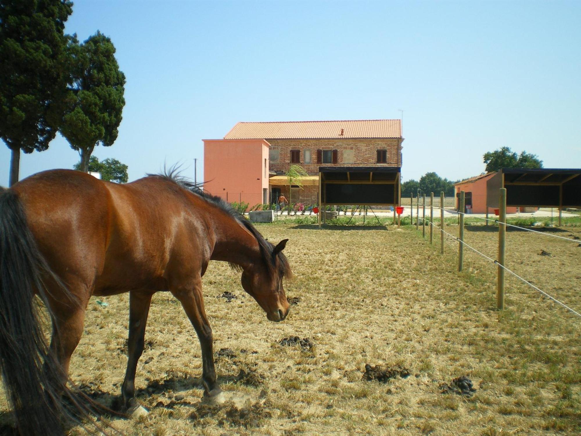 Conero Ranch Guest House Porto Recanati Exterior photo