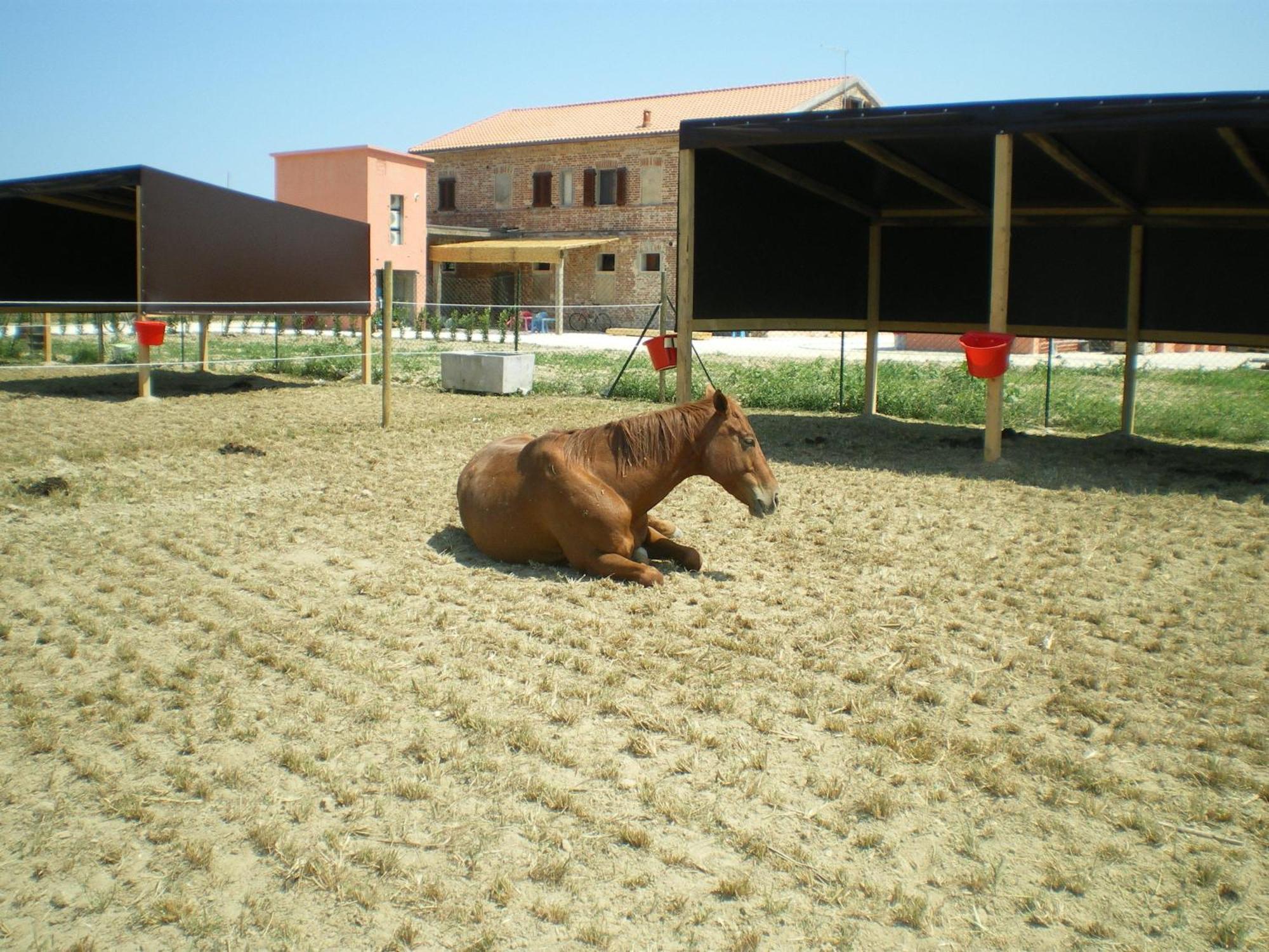 Conero Ranch Guest House Porto Recanati Exterior photo